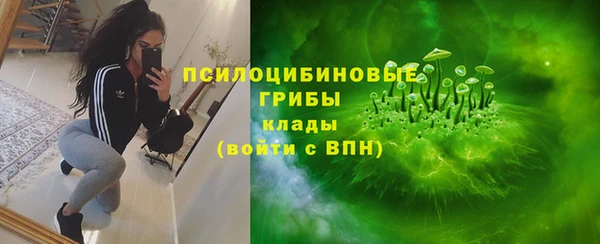 трава Наволоки