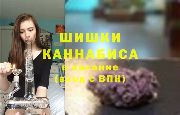 трава Наволоки