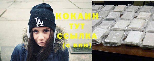 трава Наволоки