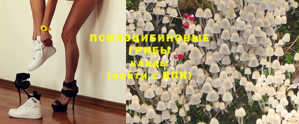 трава Наволоки