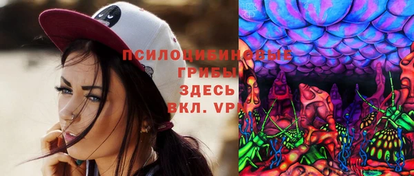 трава Наволоки