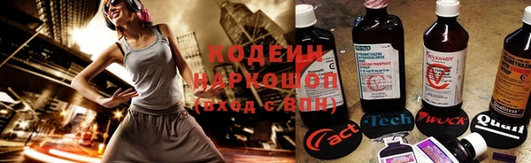 ГАЛЛЮЦИНОГЕННЫЕ ГРИБЫ Надым