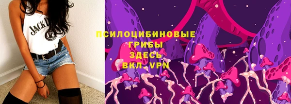 ГАЛЛЮЦИНОГЕННЫЕ ГРИБЫ Надым