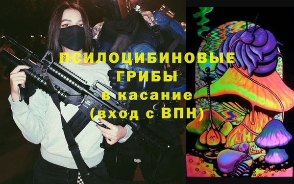 трава Наволоки