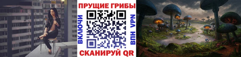 Галлюциногенные грибы мухоморы  Купить закладки  Новоульяновск 